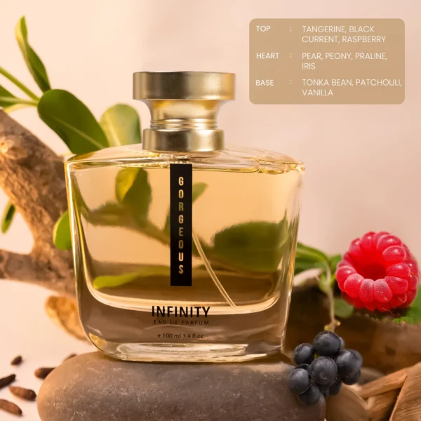 Infinity - Gorgeous - Image 2